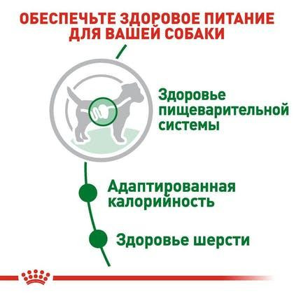 Royal Canin Mini Adult (Роял Канін Міні Едалт) вологий корм для маленьких собак до 10 кг від 10 м. 85 г х 12 шт Запоріжжя - фото 3