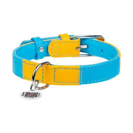 Ошейник для собак кожаный WAUDOG Glamour с QR паспортом, 