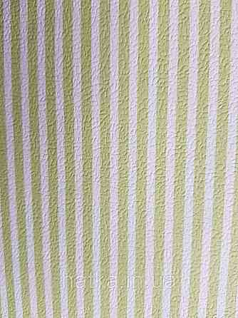 Шпалери вінілові на флізеліні Petite Fleur 4 Rasch Texti 289120 смуги вузькі зелені та білі Київ