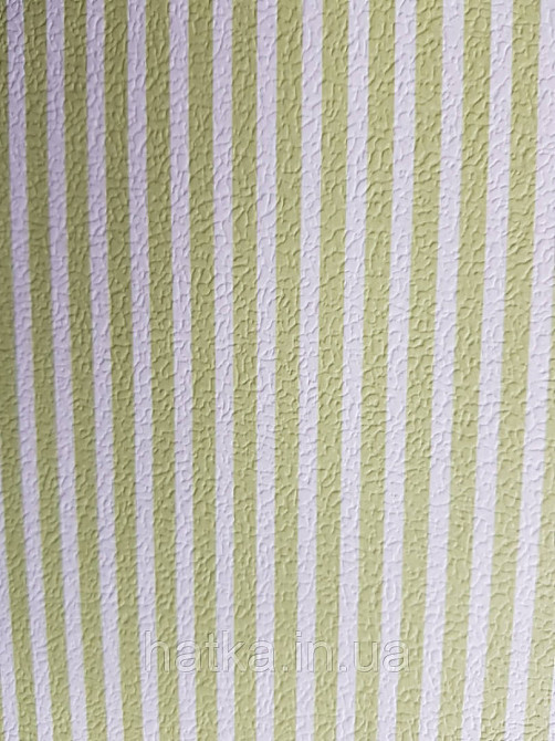 Шпалери вінілові на флізеліні Petite Fleur 4 Rasch Texti 289120 смуги вузькі зелені та білі Київ - фото 2