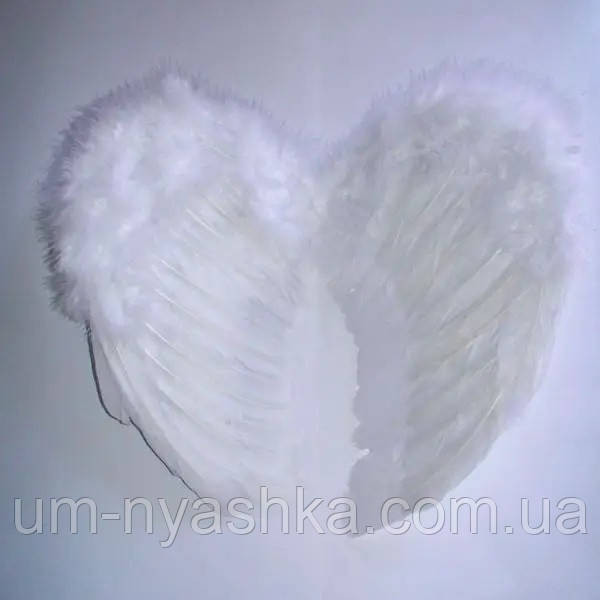 Крылья Ангела с перьями 55*35 Кривой Рог - изображение 2