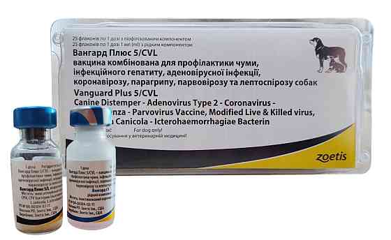 Вакцина ВАНГАРД - 5/CV-L Plus №1 (одна доза), Zoetis Вінниця