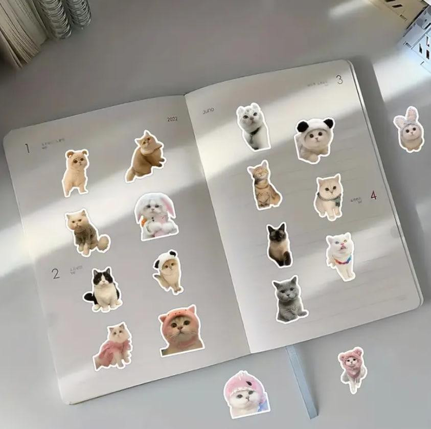 Наклейки Стікери Коти - Водонепроникні Вінілові Естетичні Наклейки з Котами для Пляшки Води, Комп'ют Київ - фото 3