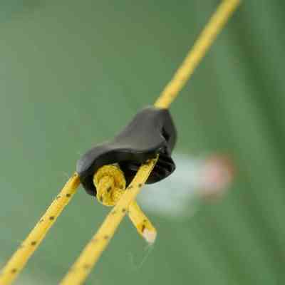 Палатка Wechsel Exogen 3 ZG Green (231086) Винница