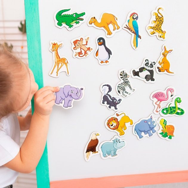 Набор магнитов Magdum 