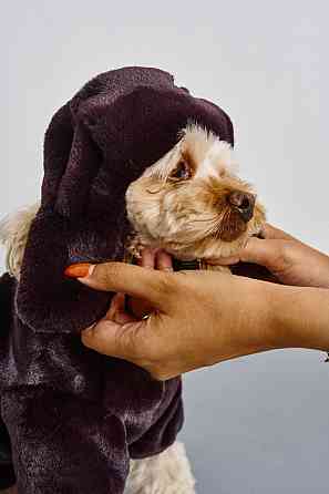 Шапка ушанка для собак меховая зимняя Dogs Bomba теплые ушки 1 Ожина Одесса