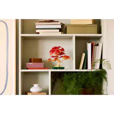 Конструктор LEGO Botanicals Бонсай з японського червоного клена (10348) Вінниця