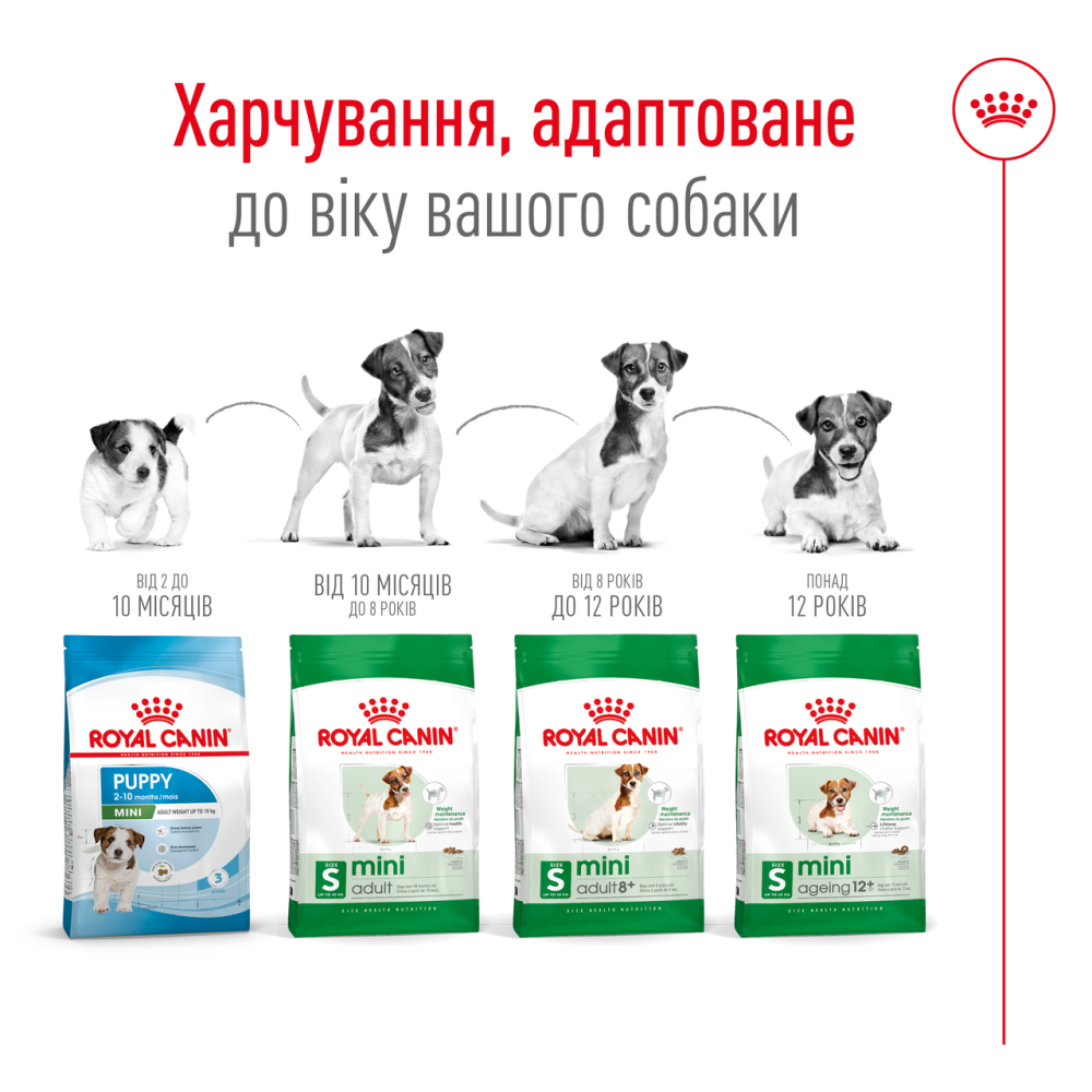 Корм для дорослих собак малих порід ROYAL CANIN MINI ADULT 2.0 кг Київ - фото 5