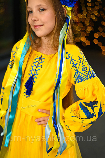 Дитяча вишита сукня з ластівками Кривий Ріг - фото 8
