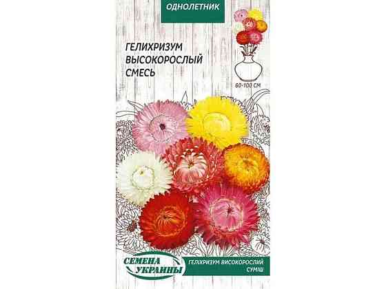 Геліхрізум високий (суміш) ОД 0,2г (10 пачок) ТМ НАСІННЯ УКРАЇНИ Київ