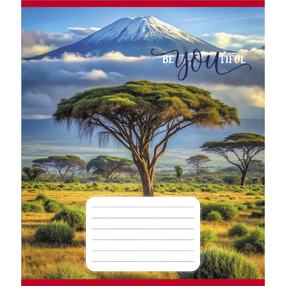 Тетрадь ученическая 