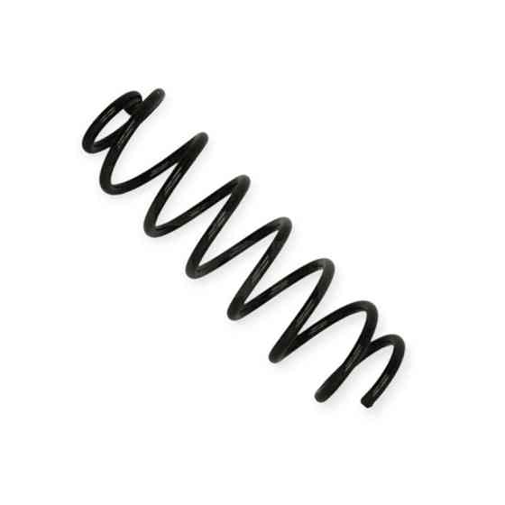 Пружина задняя автомобиль Рено Megane III Grandtour 08- Мукачево