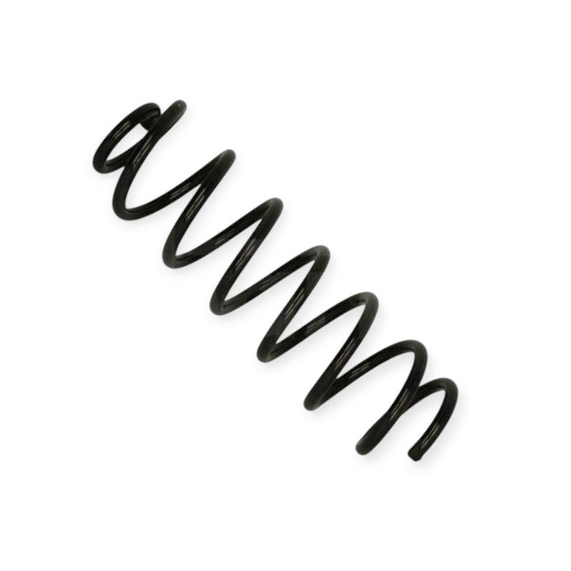 Пружина задня автомобіль Рено Megane III Grandtour 08- Мукачево - фото 1