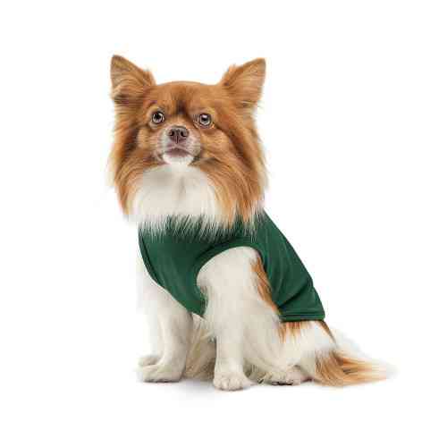 Борцовка Kale ТМ Pet Fashion для собак S зеленая Киев