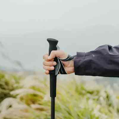 Треккинговые палки Naturehike CNK2450DS017, 35-110 см, чорна (6927595785416) Винница