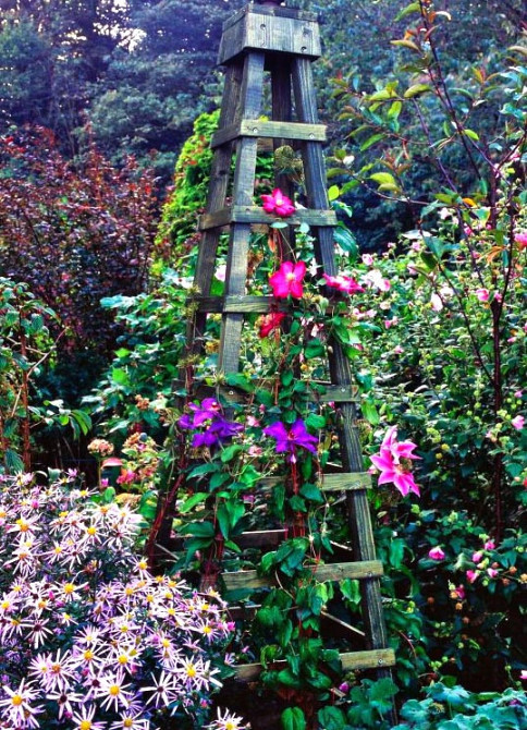 Опора для плетущихся 