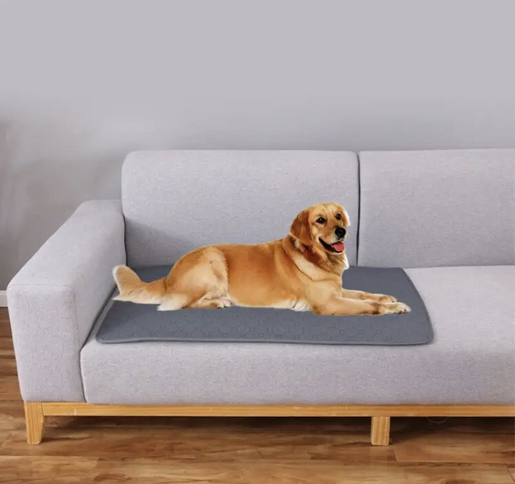 Коврик для котов и собак ,супервпитывающий, низ не пропускает мочу, размер 50*35 см, бежевый, нейлон. Киев - изображение 3