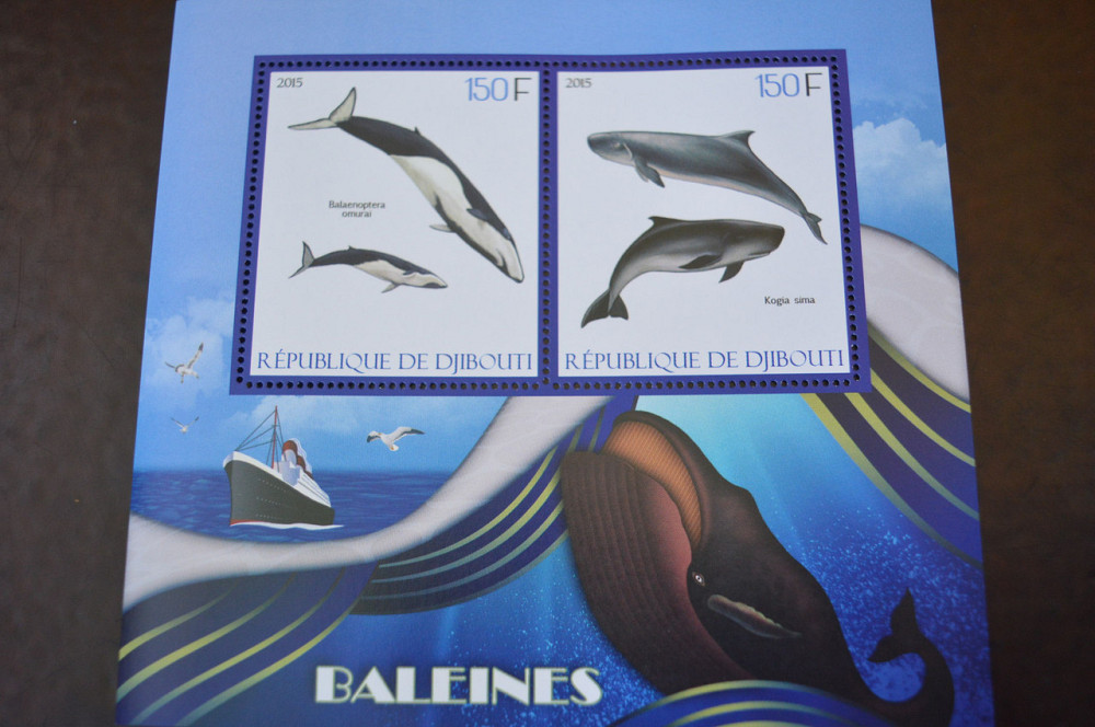 Джибуті. Марки. Фауна. Блок. 2013 рік (А-22) Полтава - фото 1