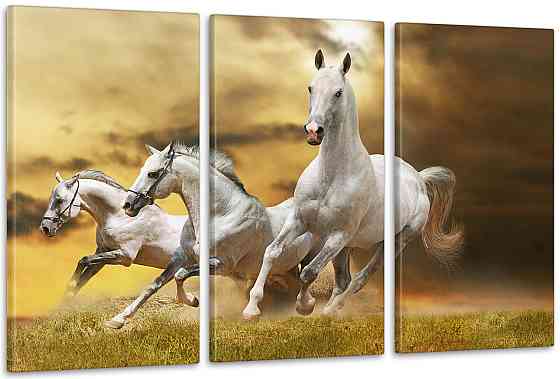 Модульная картина Лошади Аrt-79_3А Киев