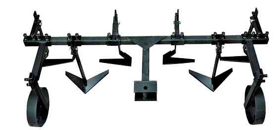 Пропольник широкорядный 