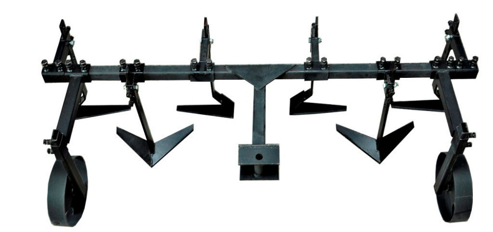 Пропольник широкорядный 