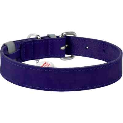 Ошейник для животных WAUDOG Classic кожаный 35 мм х 46-60 см фиолетовый (02399) Винница