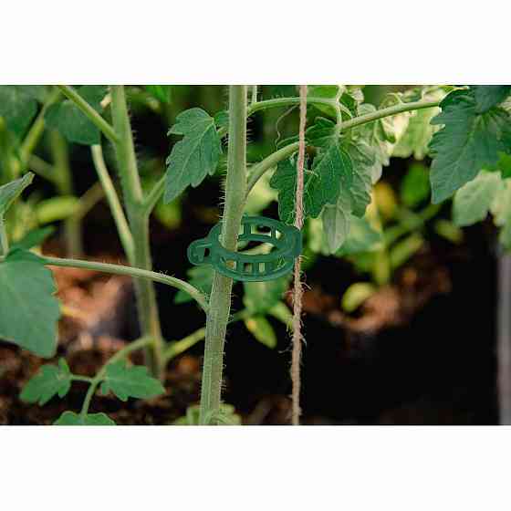 Зажимы для крепления растений 22мм, 100 штук, TYK022GR/100 Киев