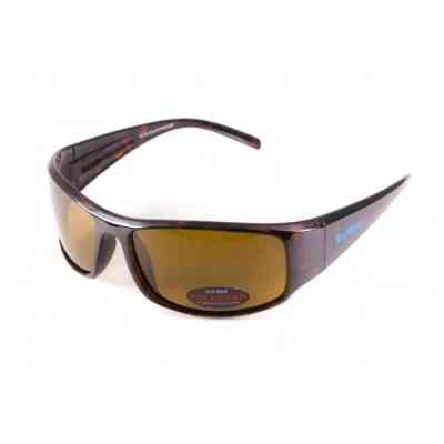 Солнцезащитные очки BluWater Florida-1 Polarized Коричневые (4ФЛР1-50П) Винница