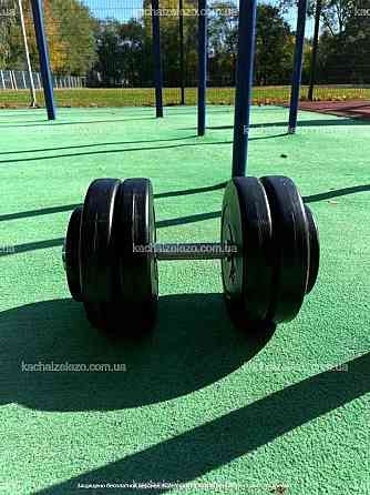 Гантели наборные 2 по 25 кг с ABS покрытием хром грифы Гантели, гири, штанги и диски битумные Киев