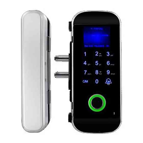 Замок біометричний автономний на скляні двері Trinix TRL-3303BG зі зчитувачем відбитків пальців і карт EM-Marine (65-00004) Київ