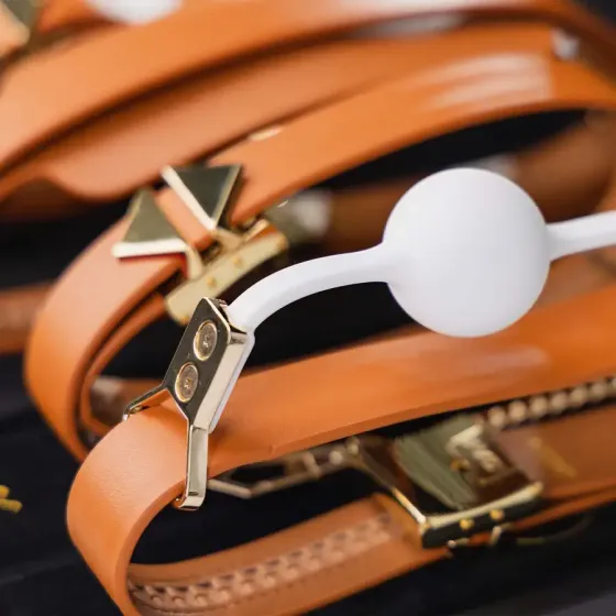 БДСМ-набір LOCKINK Moonlight Treasure Chest - Brown Set Львів