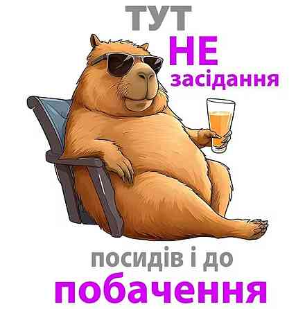 Наклейка на унітаз 16 на 20 см різнобарвний Київ