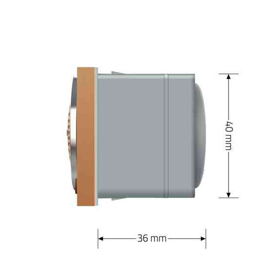 LIVOLO Механізм Bluetooth колонка LIVOLO золото (VL-FCF-2AP) Коломия