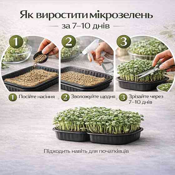 Набір для вирощування мікрозелені 15 культур "Суперфуд XL" з контейнерами та інструкцією (повний комплект) Харків