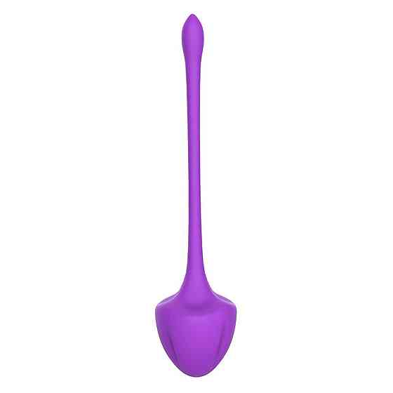 Набір вагінальних кульок Virgo purple Sex Aura Київ