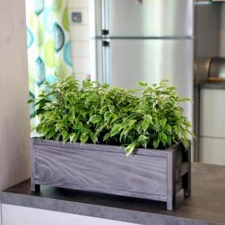 Кашпо "Гравілат" моріон Миколаїв - фото 1