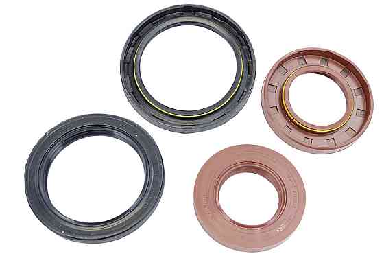 Ремкомплект заднего моста ГАЗ 3302 с сальниками (стандарт) старый образец прокладок Мукачево