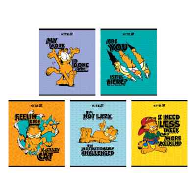 Тетрадь Kite Garfield, 24 листа, клетка (GF25-238) Винница