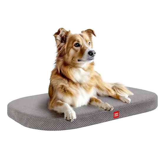 Лежанка для собак WAUDOG Relax, Доріс велюр, зі знімним чохлом, М, Ш 80 см, Дл 55 см Коломыя