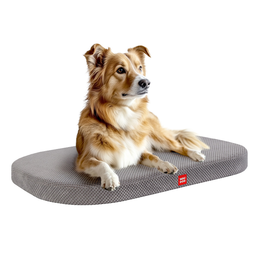 Лежанка для собак WAUDOG Relax, Доріс велюр, зі знімним чохлом, М, Ш 80 см, Дл 55 см Коломия - фото 1