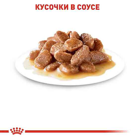 Royal Canin Instinctive Gravy (Роял Канін Інстинктив граві) вологий корм для дорослих кішок від 12 місяців 0.085 кг. х 12 шт. Запоріжжя