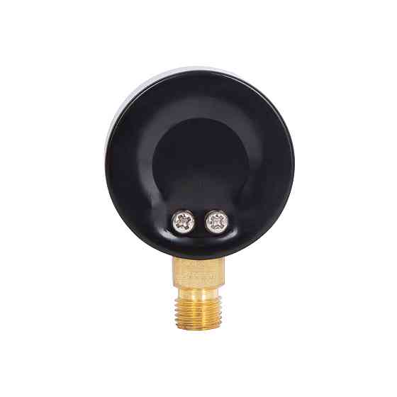 Манометр Thermo Alliance Standart 50 мм 1/4", нижнє під'єднання SD1704B Київ