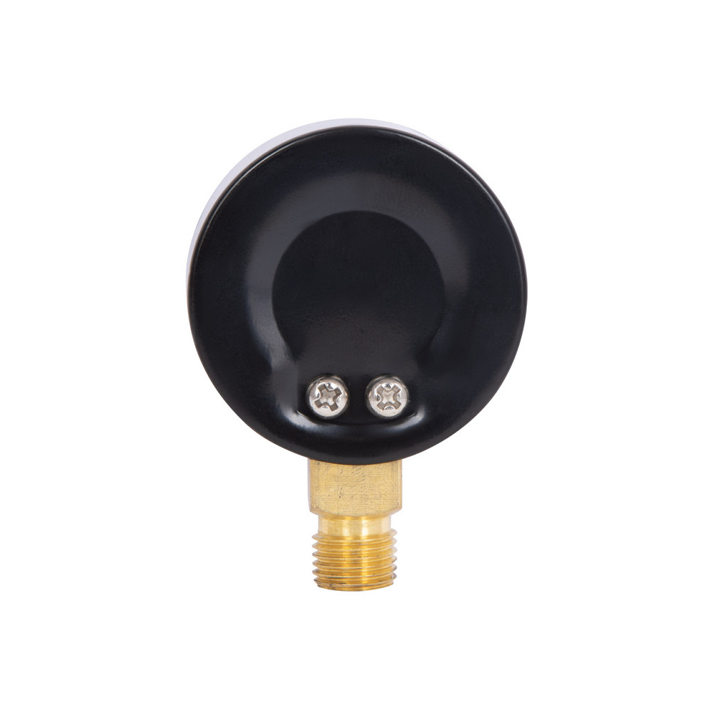 Манометр Thermo Alliance Standart 50 мм 1/4