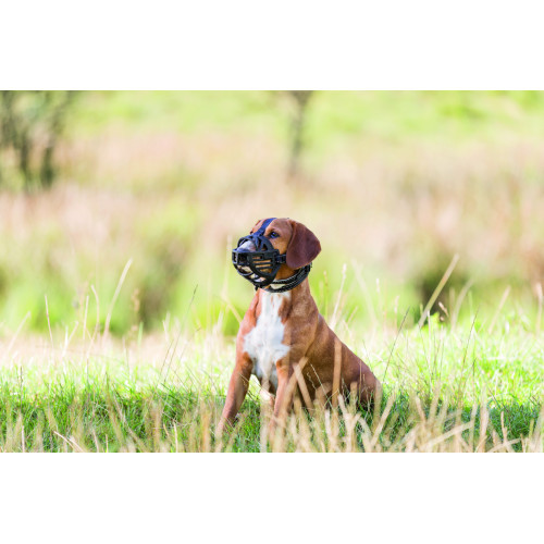 Намордник Trixie для собак гумовий M чорний Київ - фото 4