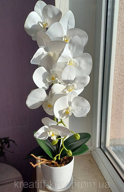 Штучна латексна орхідея VIP у пластиковому кашпо на одну гілку біла Дніпро - фото 3