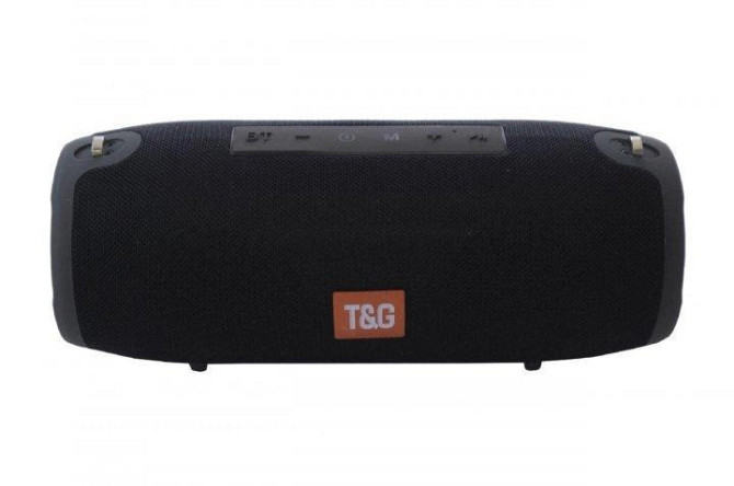 Колонка портативна T&G TG-118 15Вт USB, AUX, FM, Bluetooth (18) Київ - фото 2