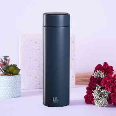 Термос Line Art Cusco 500 мл графітовий (60032922LA-11) Вінниця