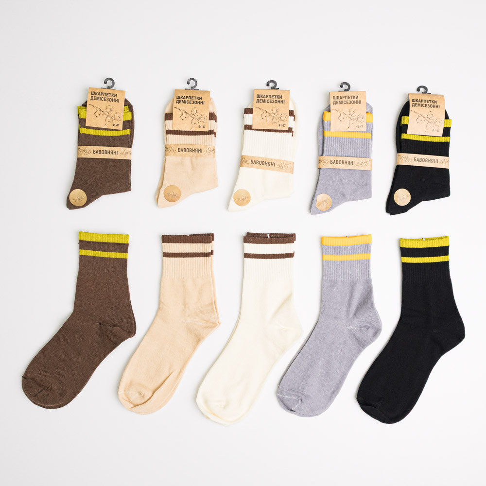 Набір шкарпеток чоловічих демісезонних однотонних 10 пар Youstar 841 Середні 41-47 Різні кольори Суми - фото 1