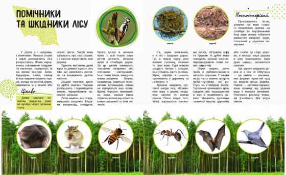 Детская книга 