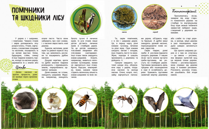 Детская книга 